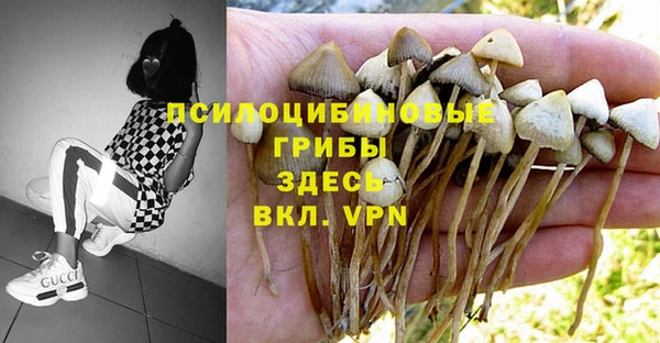 mix Аркадак