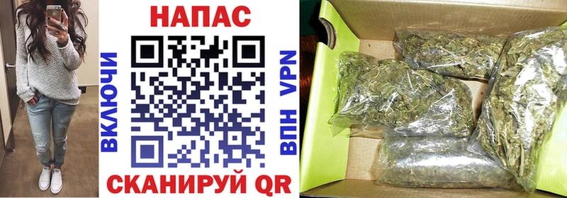 Бошки марихуана Ganja  купить   mega ссылки  Канск 
